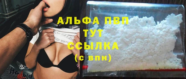 дживик Пересвет