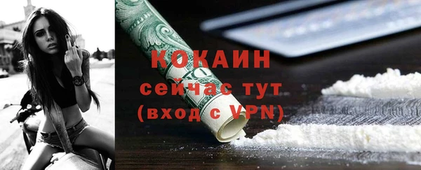 дживик Пересвет