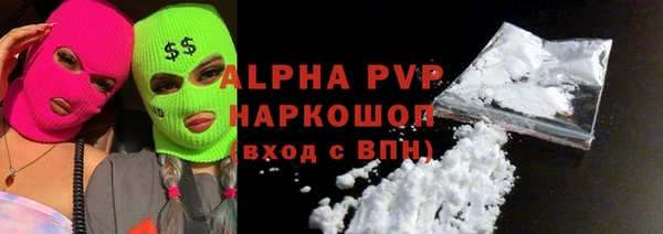 дживик Пересвет