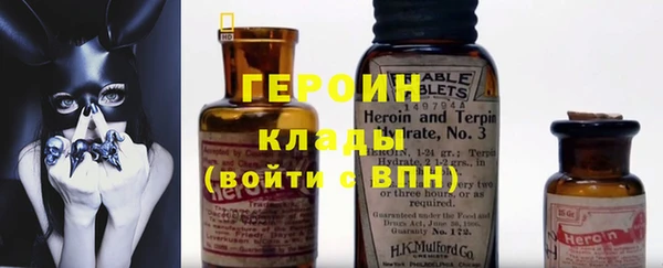дживик Пересвет