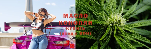 дживик Пересвет