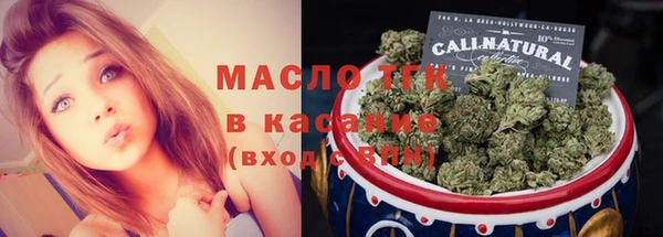 дживик Пересвет