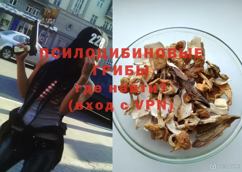 Галлюциногенные грибы MAGIC MUSHROOMS  Армянск 